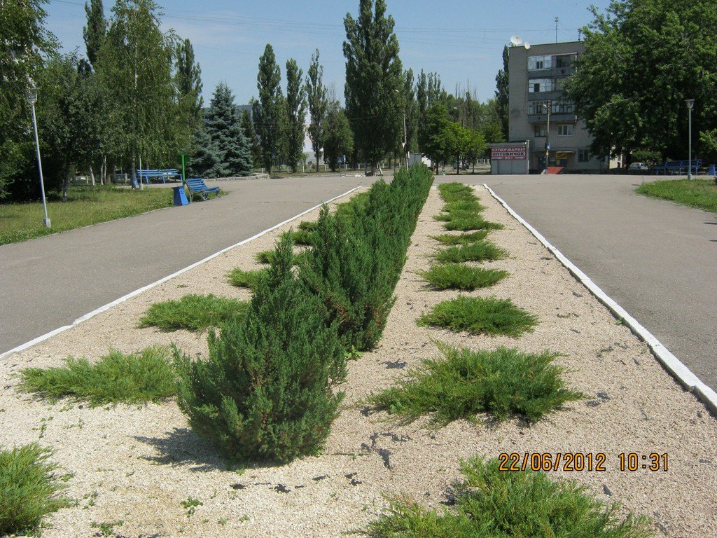 В Кременчуге подвели предварительные итоги конкурса на лучшую клумбу В Кременчуге подвели предварительные итоги конкурса на лучшую клумбу