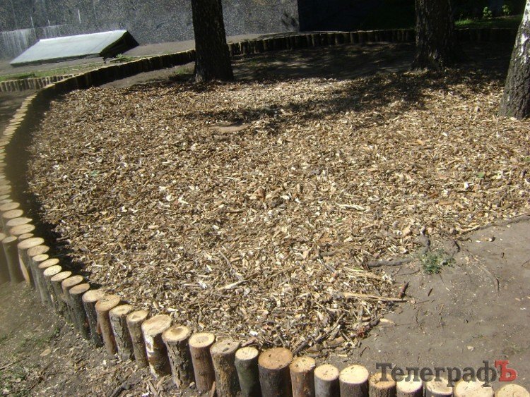 Территорию перед исполкомом Кременчуга облагородят (ФОТО) Территорию перед исполкомом Кременчуга облагородят (ФОТО)