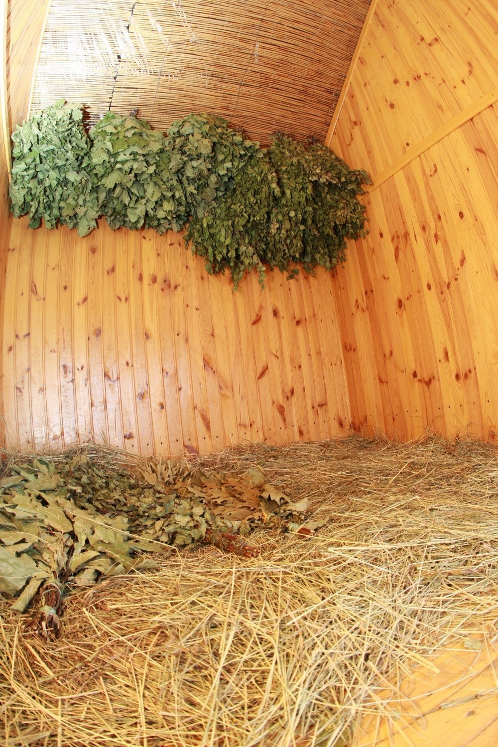 «Потоки хаус»: Европейский отдых на берегу Днепра «Потоки хаус»: Европейский отдых на берегу Днепра