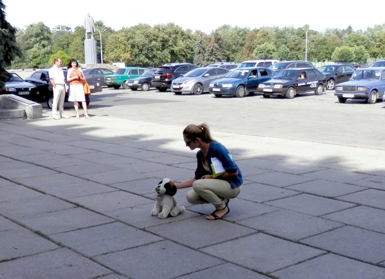 Перед мерией из пистолета «убили» собаку Перед мерией из пистолета «убили» собаку