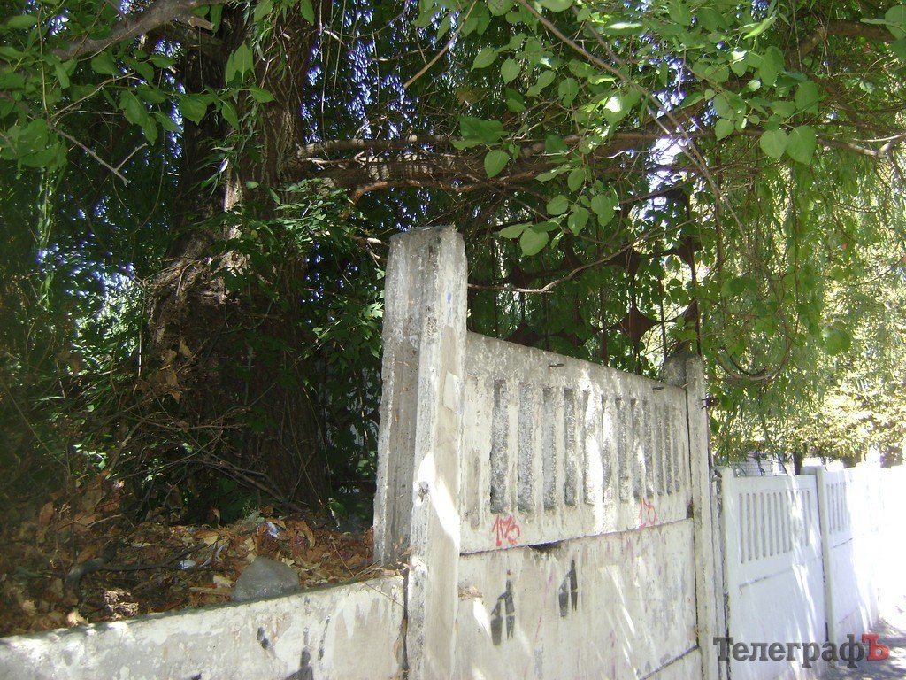 В Кременчуге воспитанников детсада травят амброзией В Кременчуге воспитанников детсада травят амброзией