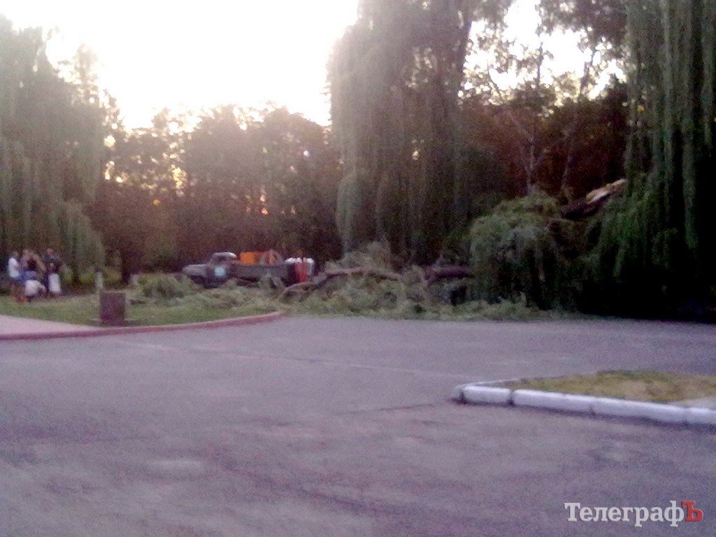 В Кременчуге упавшая ива едва не пришибла папу с ребенком (рассказ очевидца) В Кременчуге упавшая ива едва не пришибла папу с ребенком (рассказ очевидца)