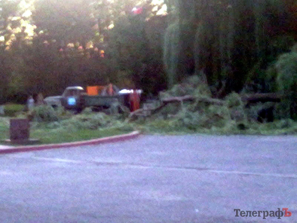 В Кременчуге упавшая ива едва не пришибла папу с ребенком (рассказ очевидца) В Кременчуге упавшая ива едва не пришибла папу с ребенком (рассказ очевидца)