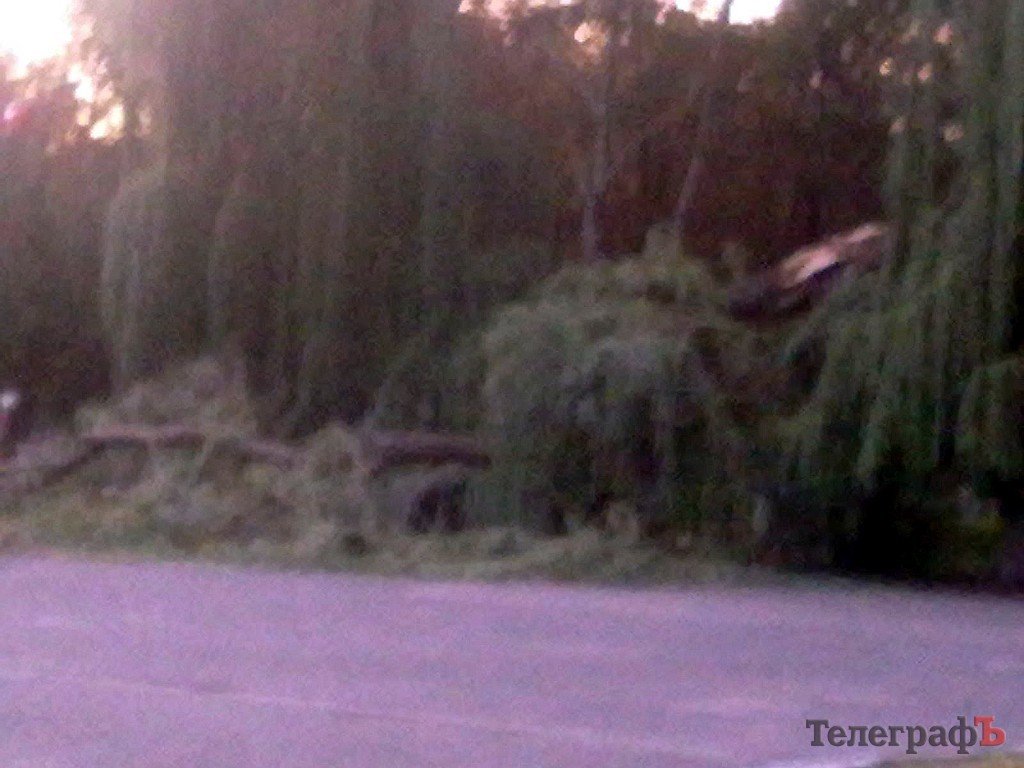 В Кременчуге упавшая ива едва не пришибла папу с ребенком (рассказ очевидца) В Кременчуге упавшая ива едва не пришибла папу с ребенком (рассказ очевидца)