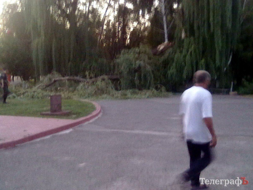 В Кременчуге упавшая ива едва не пришибла папу с ребенком (рассказ очевидца) В Кременчуге упавшая ива едва не пришибла папу с ребенком (рассказ очевидца)