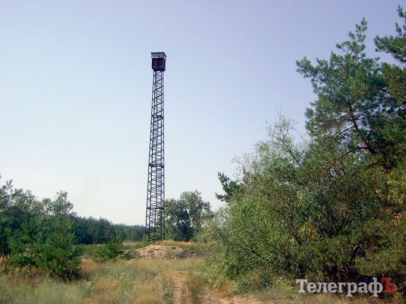 Як охороняють ліси від пожеж Як охороняють ліси від пожеж