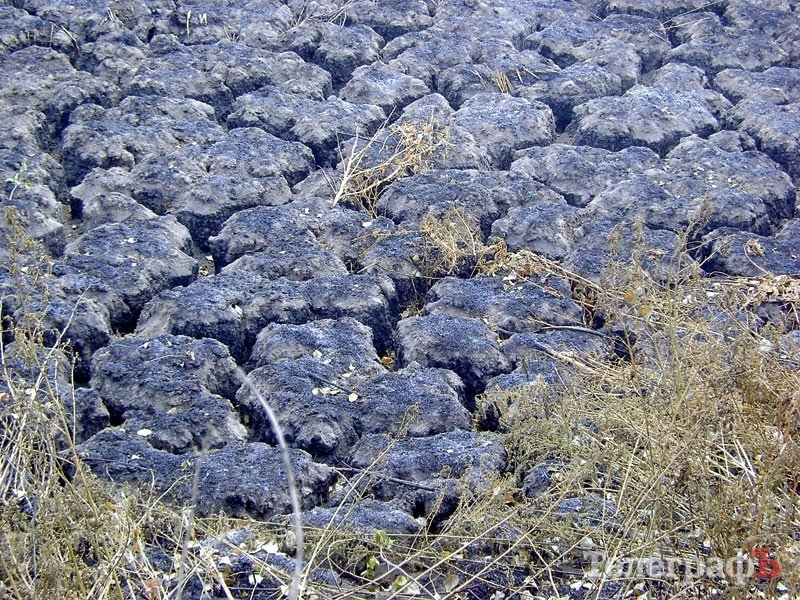 Як охороняють ліси від пожеж Як охороняють ліси від пожеж