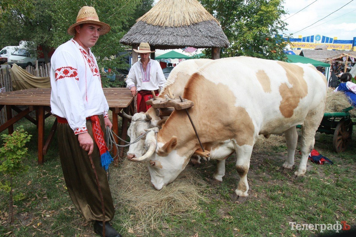 Как открылась Сорочинская ярмарка (Фотопресс) Как открылась Сорочинская ярмарка (Фотопресс)