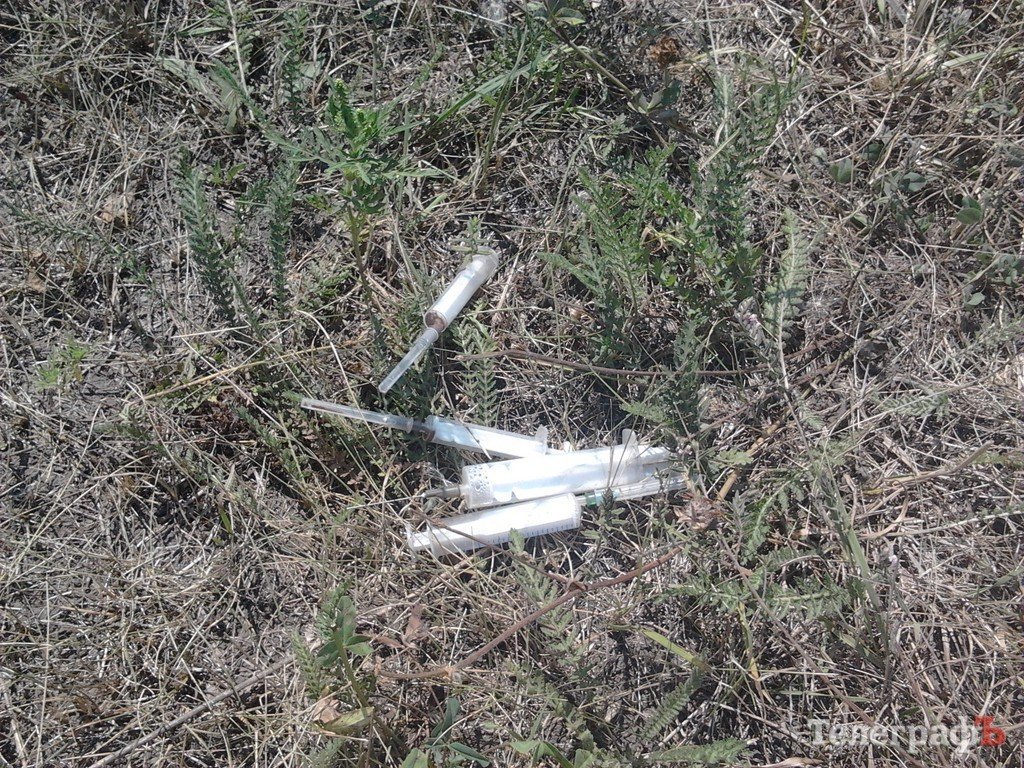 Парк для коров в Кременчуге, или «поле чудес», где закапывают бюджетные деньги (ФОТО) Парк для коров в Кременчуге, или «поле чудес», где закапывают бюджетные деньги (ФОТО)