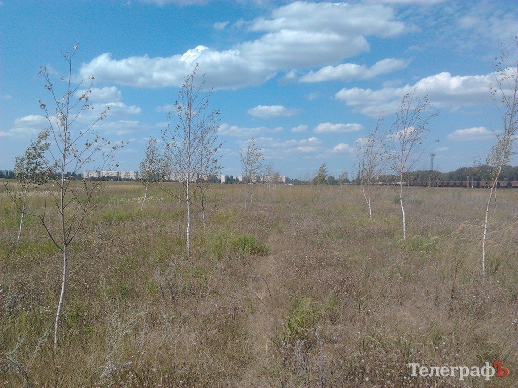 Парк для коров в Кременчуге, или «поле чудес», где закапывают бюджетные деньги (ФОТО) Парк для коров в Кременчуге, или «поле чудес», где закапывают бюджетные деньги (ФОТО)