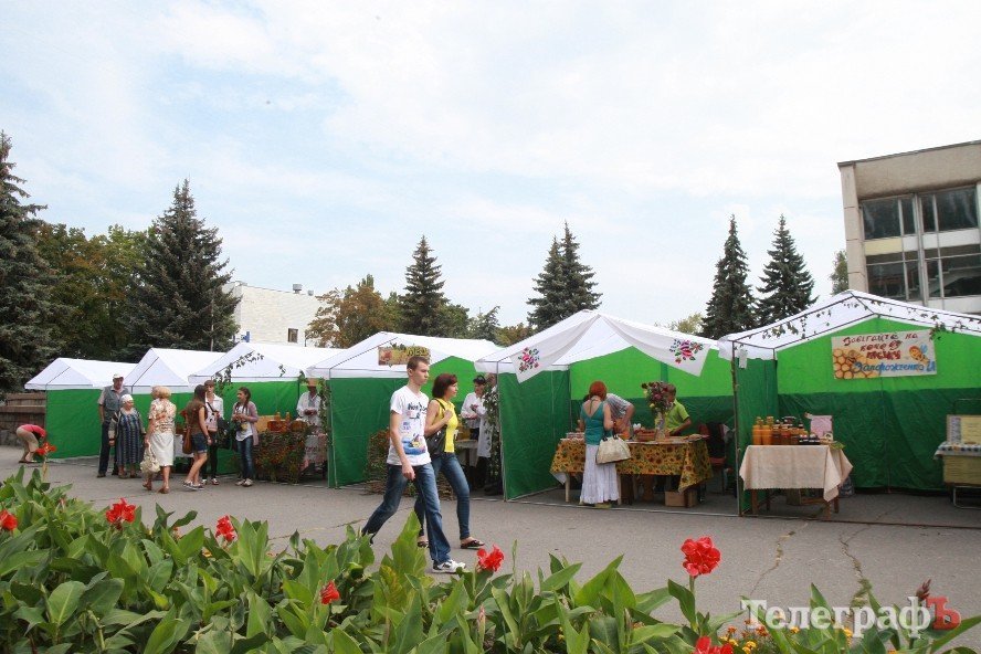 В Кременчуге прошел фестиваль пчеловодства (ФОТО, ВИДЕО) В Кременчуге прошел фестиваль пчеловодства (ФОТО, ВИДЕО)