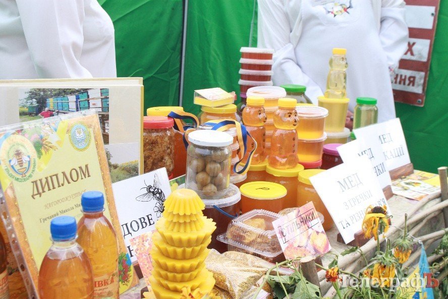 В Кременчуге прошел фестиваль пчеловодства (ФОТО, ВИДЕО) В Кременчуге прошел фестиваль пчеловодства (ФОТО, ВИДЕО)