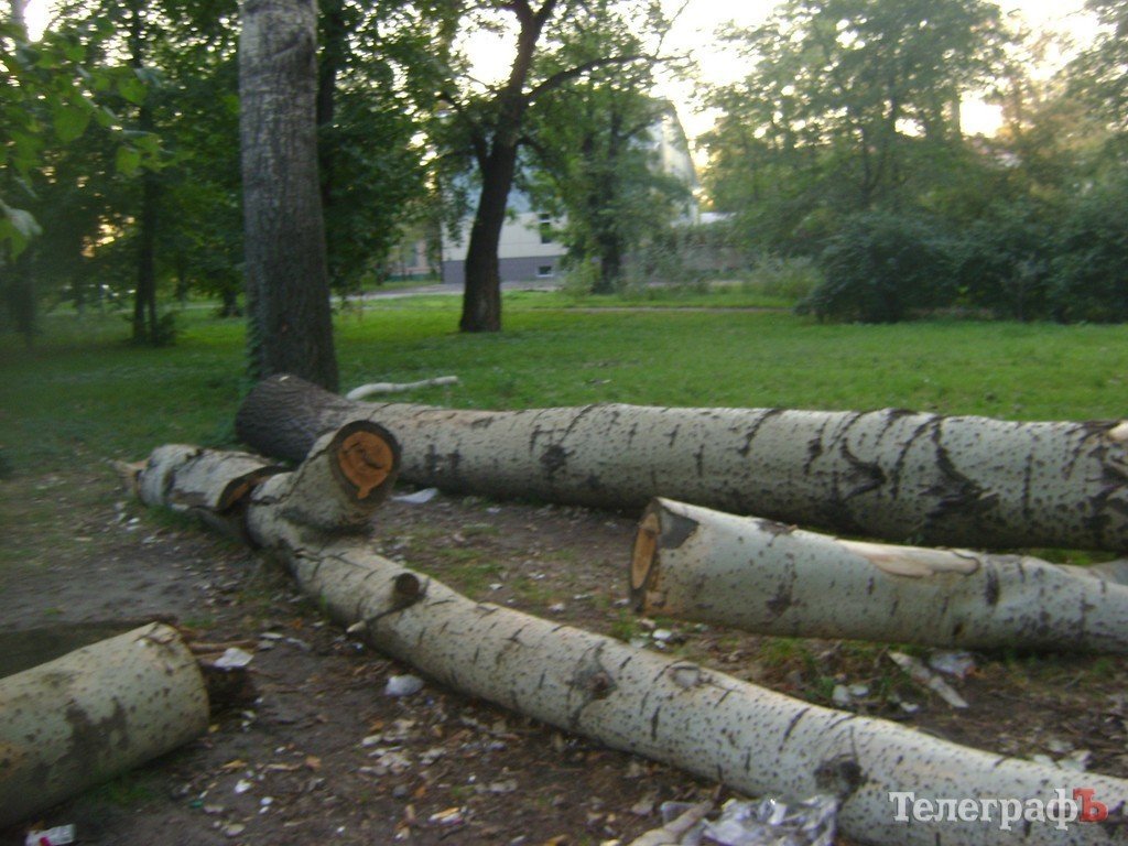«Городской сад» в Кременчуге стал напоминать скорее лес после урагана (ФОТО) «Городской сад» в Кременчуге стал напоминать скорее лес после урагана (ФОТО)