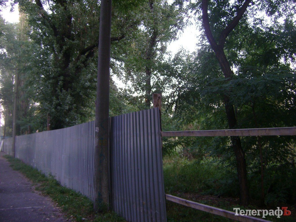 «Городской сад» в Кременчуге стал напоминать скорее лес после урагана (ФОТО) «Городской сад» в Кременчуге стал напоминать скорее лес после урагана (ФОТО)