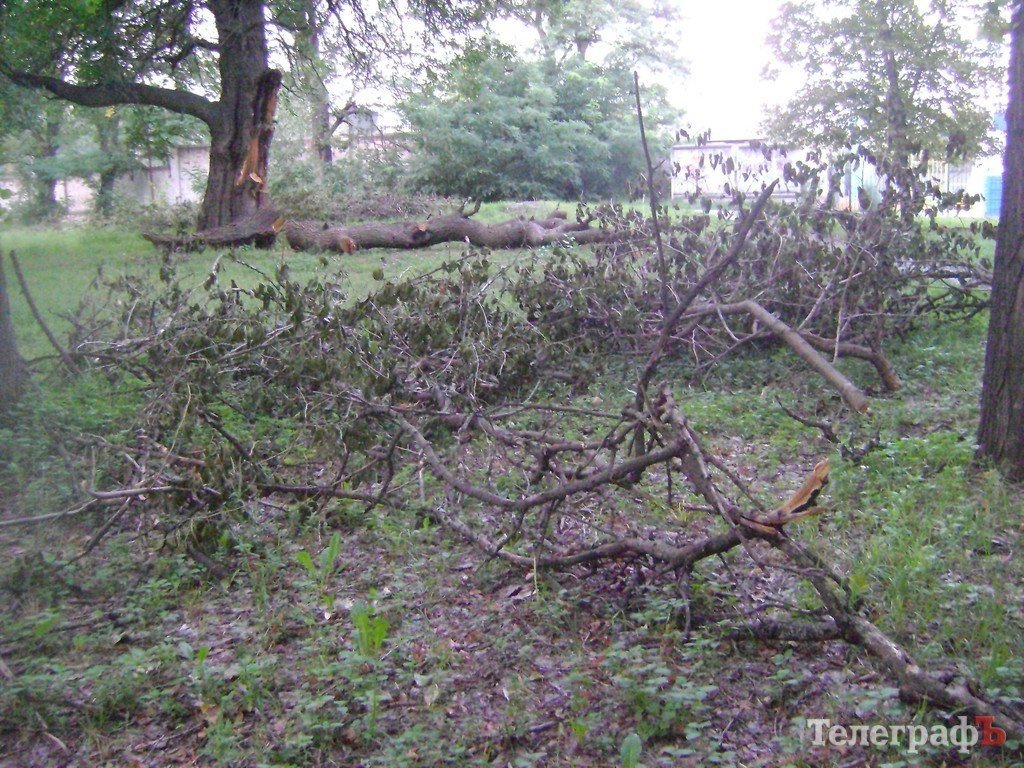 «Городской сад» в Кременчуге стал напоминать скорее лес после урагана (ФОТО) «Городской сад» в Кременчуге стал напоминать скорее лес после урагана (ФОТО)