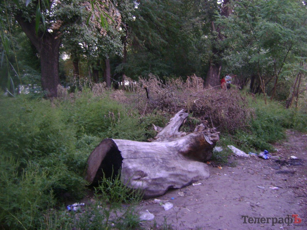 «Городской сад» в Кременчуге стал напоминать скорее лес после урагана (ФОТО) «Городской сад» в Кременчуге стал напоминать скорее лес после урагана (ФОТО)