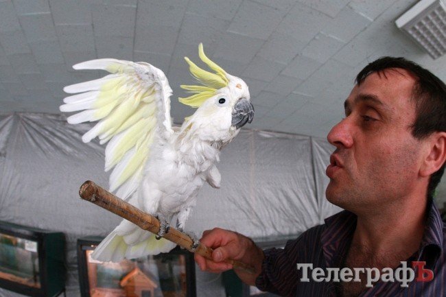 В ГДК поселились экзотические животные (ФОТО) В ГДК поселились экзотические животные (ФОТО)