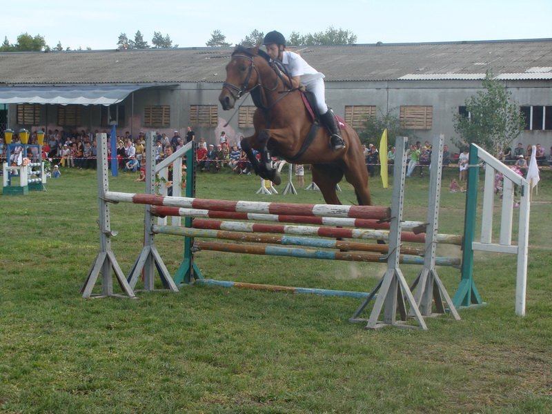 Мария Михалёва достойно представила наш город в Миргороде. Мария Михалёва достойно представила наш город в Миргороде.