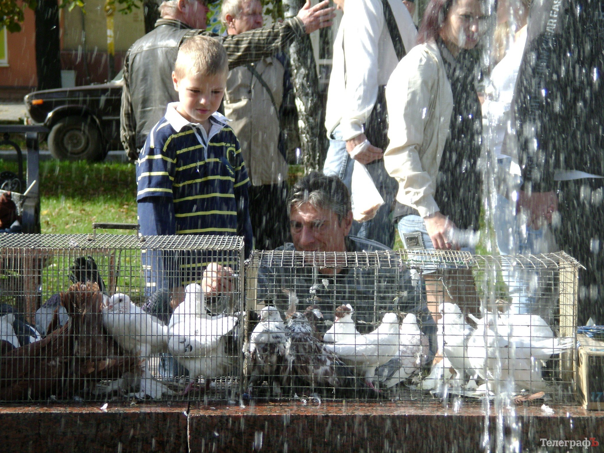 Кременчуг на один день стал городом птиц (ФОТО) Кременчуг на один день стал городом птиц (ФОТО)