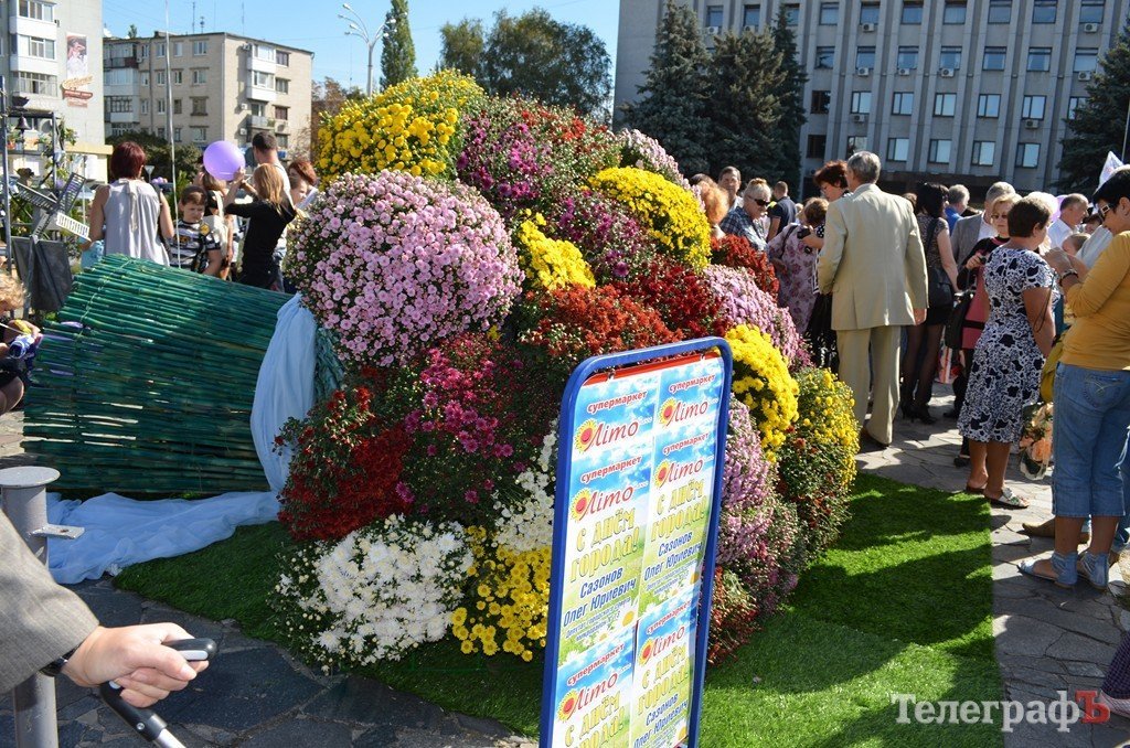 В Кременчуге прошла выставка цветов ко дню города (ФОТО) В Кременчуге прошла выставка цветов ко дню города (ФОТО)
