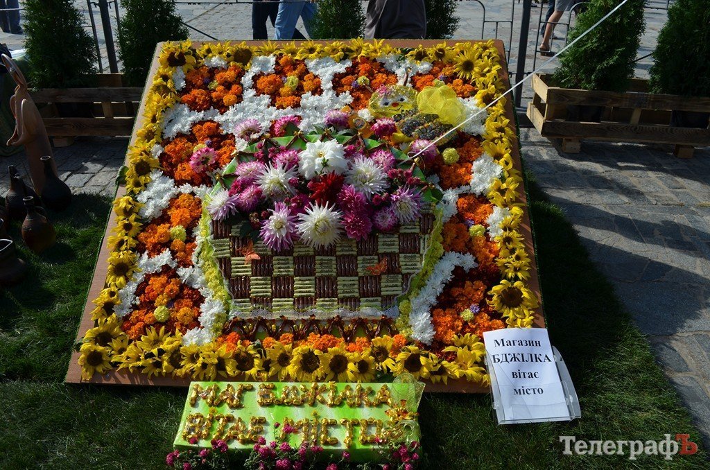 В Кременчуге прошла выставка цветов ко дню города (ФОТО) В Кременчуге прошла выставка цветов ко дню города (ФОТО)
