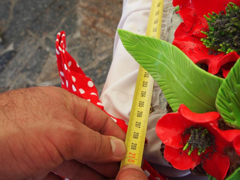 Кременчук і Полтава помірялися тортами Кременчук і Полтава помірялися тортами