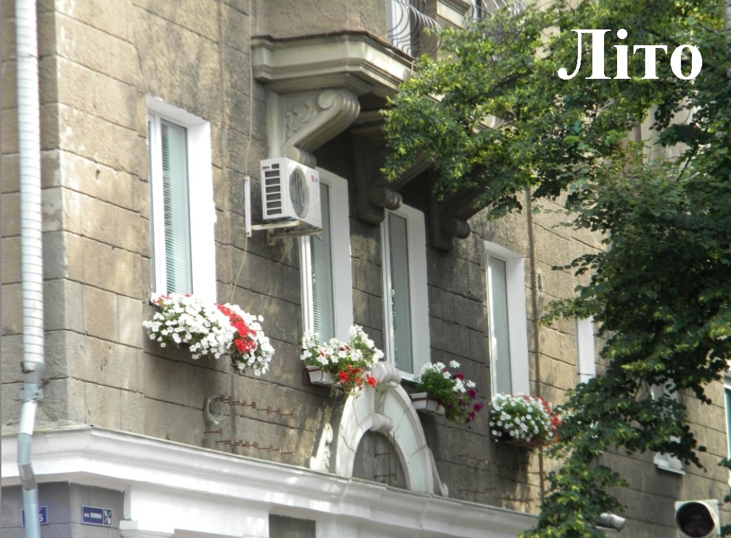 В Кременчуге наградили победителей конкурса клумб (ФОТО) В Кременчуге наградили победителей конкурса клумб (ФОТО)