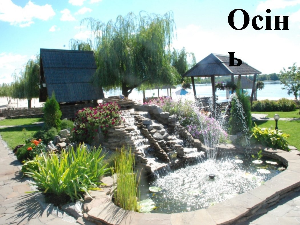 В Кременчуге наградили победителей конкурса клумб (ФОТО) В Кременчуге наградили победителей конкурса клумб (ФОТО)