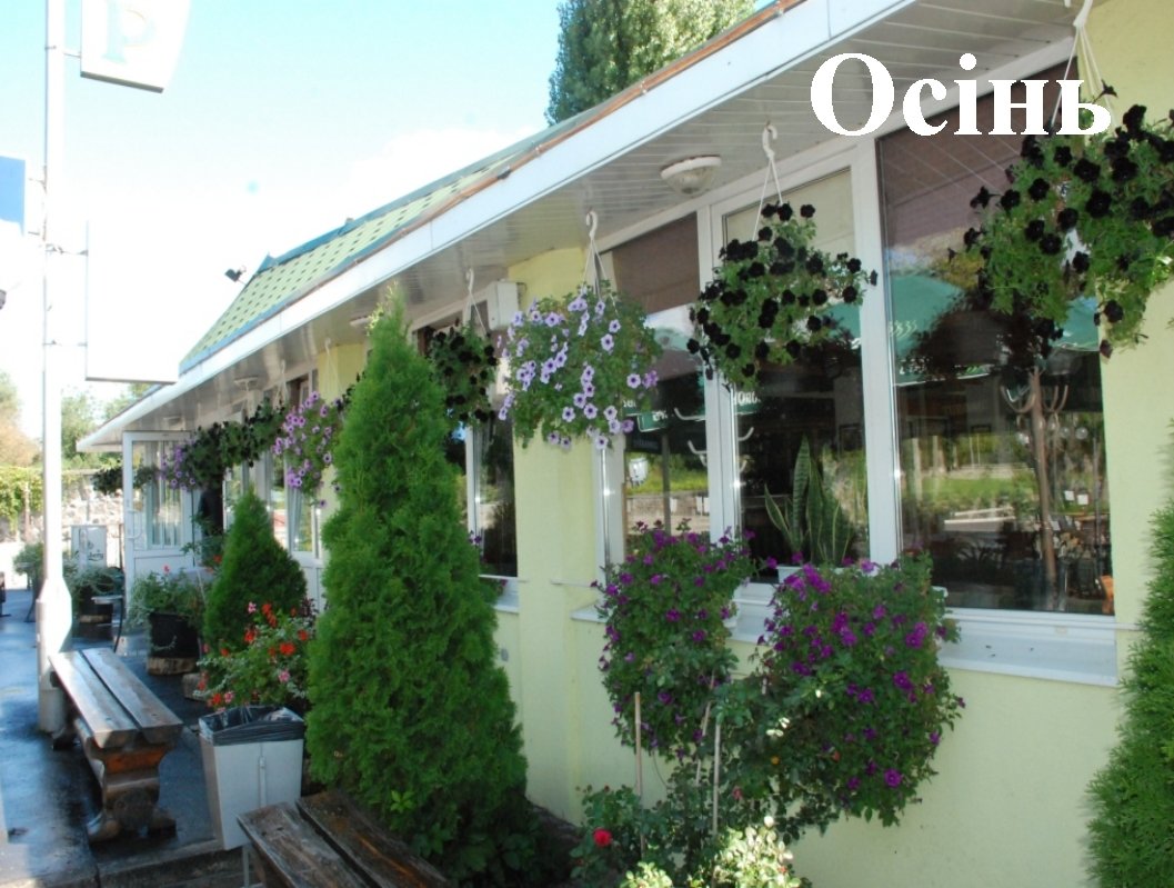 В Кременчуге наградили победителей конкурса клумб (ФОТО) В Кременчуге наградили победителей конкурса клумб (ФОТО)