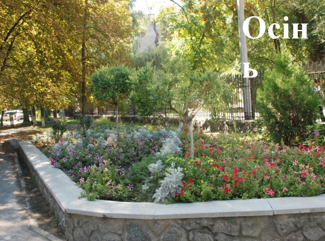 В Кременчуге наградили победителей конкурса клумб (ФОТО) В Кременчуге наградили победителей конкурса клумб (ФОТО)