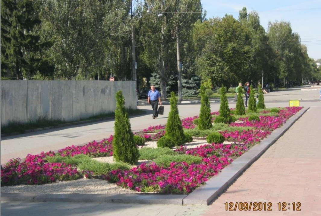 В Кременчуге наградили победителей конкурса клумб (ФОТО) В Кременчуге наградили победителей конкурса клумб (ФОТО)