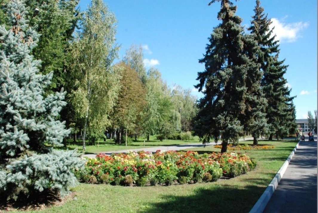 В Кременчуге наградили победителей конкурса клумб (ФОТО) В Кременчуге наградили победителей конкурса клумб (ФОТО)