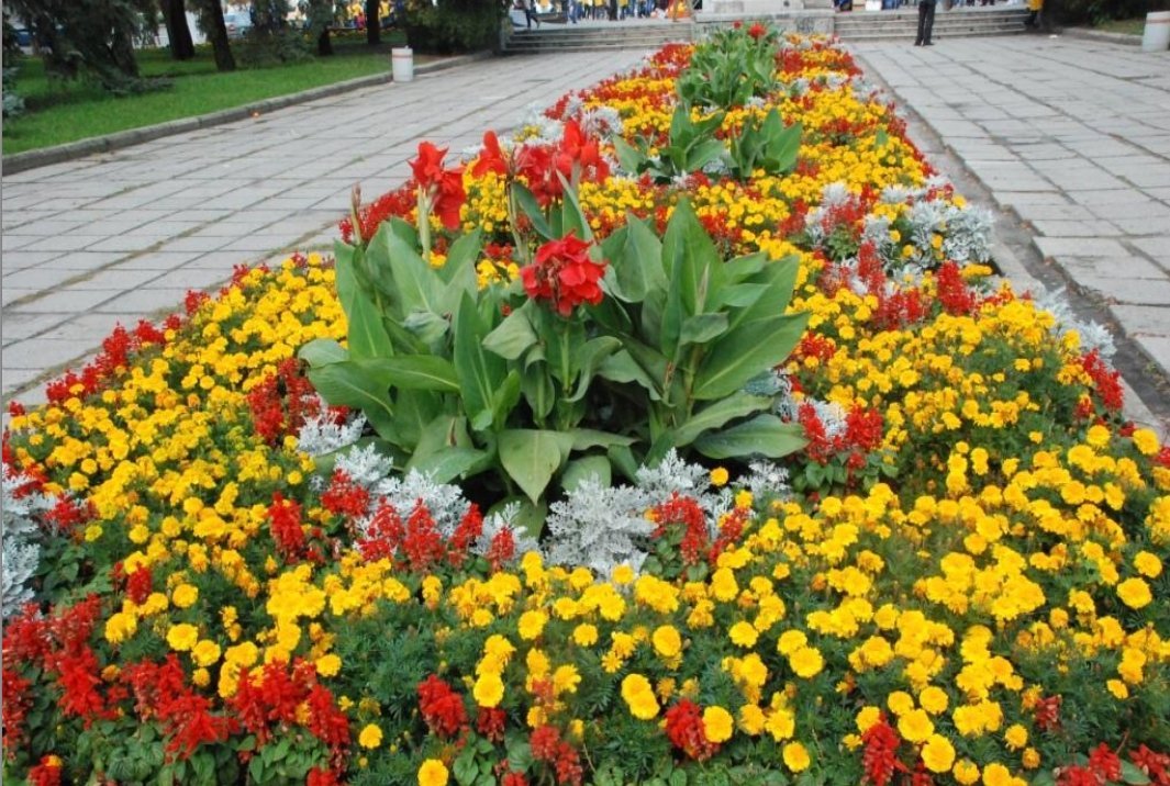 В Кременчуге наградили победителей конкурса клумб (ФОТО) В Кременчуге наградили победителей конкурса клумб (ФОТО)