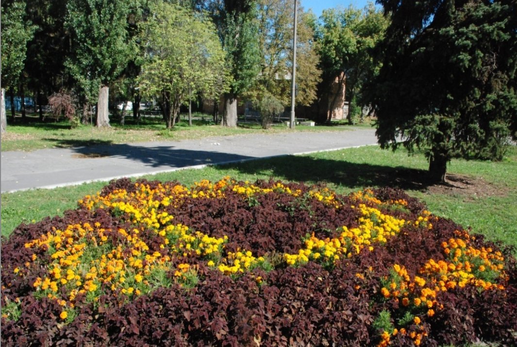 В Кременчуге наградили победителей конкурса клумб (ФОТО) В Кременчуге наградили победителей конкурса клумб (ФОТО)