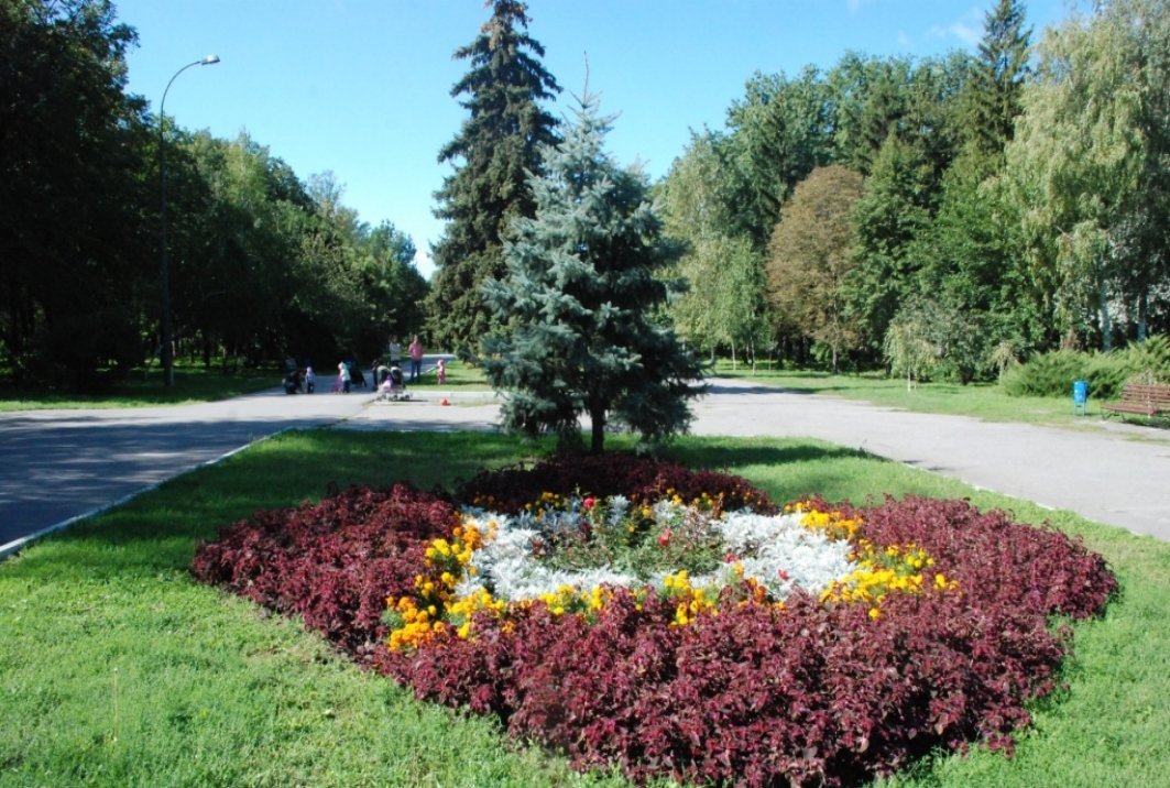 В Кременчуге наградили победителей конкурса клумб (ФОТО) В Кременчуге наградили победителей конкурса клумб (ФОТО)