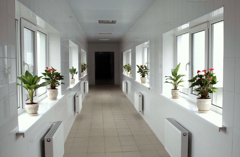 Коллектив ПАО "Кременчугмясо" отмечает свой профессиональный праздник Коллектив ПАО "Кременчугмясо" отмечает свой профессиональный праздник