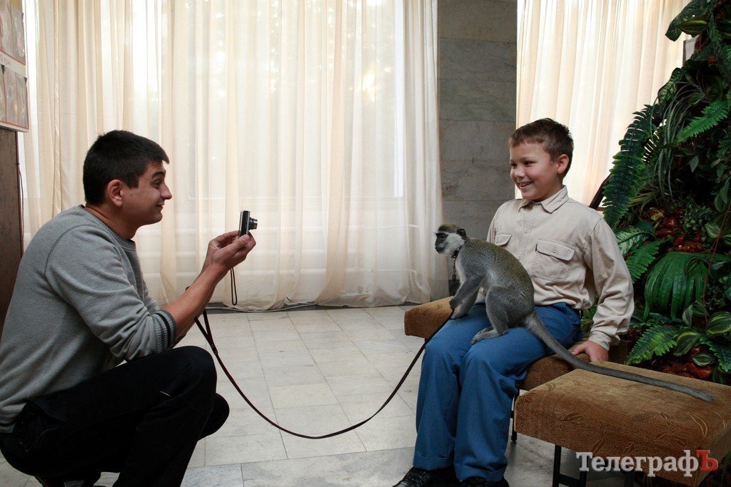 В Кременчуг привезли много диких обезьян В Кременчуг привезли много диких обезьян