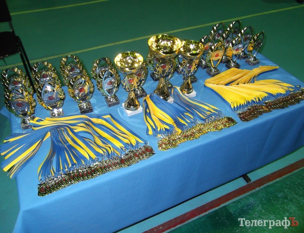 В Кременчуге прошло 1-е Открытое Первенство Полтавской области по КУДО В Кременчуге прошло 1-е Открытое Первенство Полтавской области по КУДО