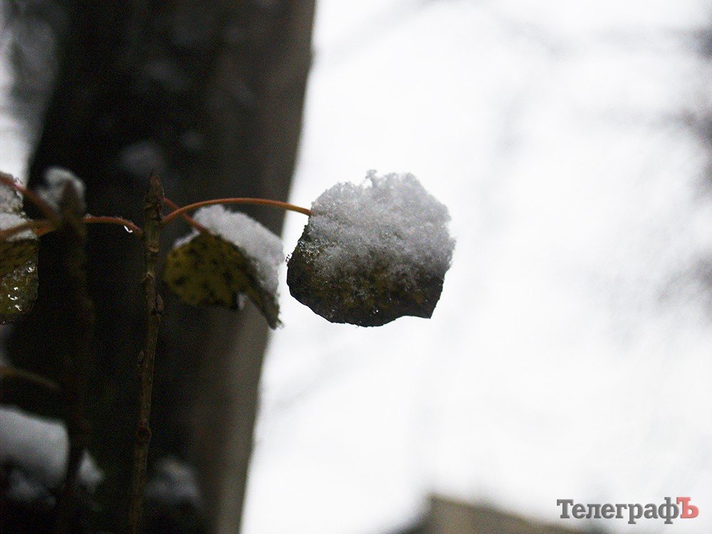 В Кременчуге выпал первый снег В Кременчуге выпал первый снег