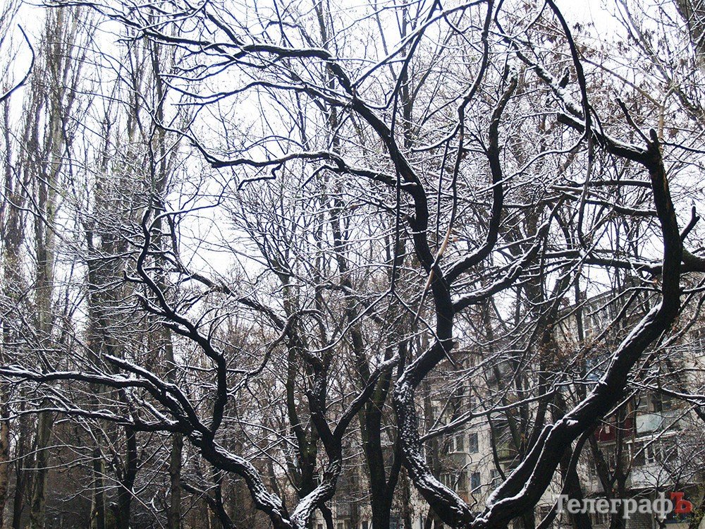 В Кременчуге выпал первый снег В Кременчуге выпал первый снег