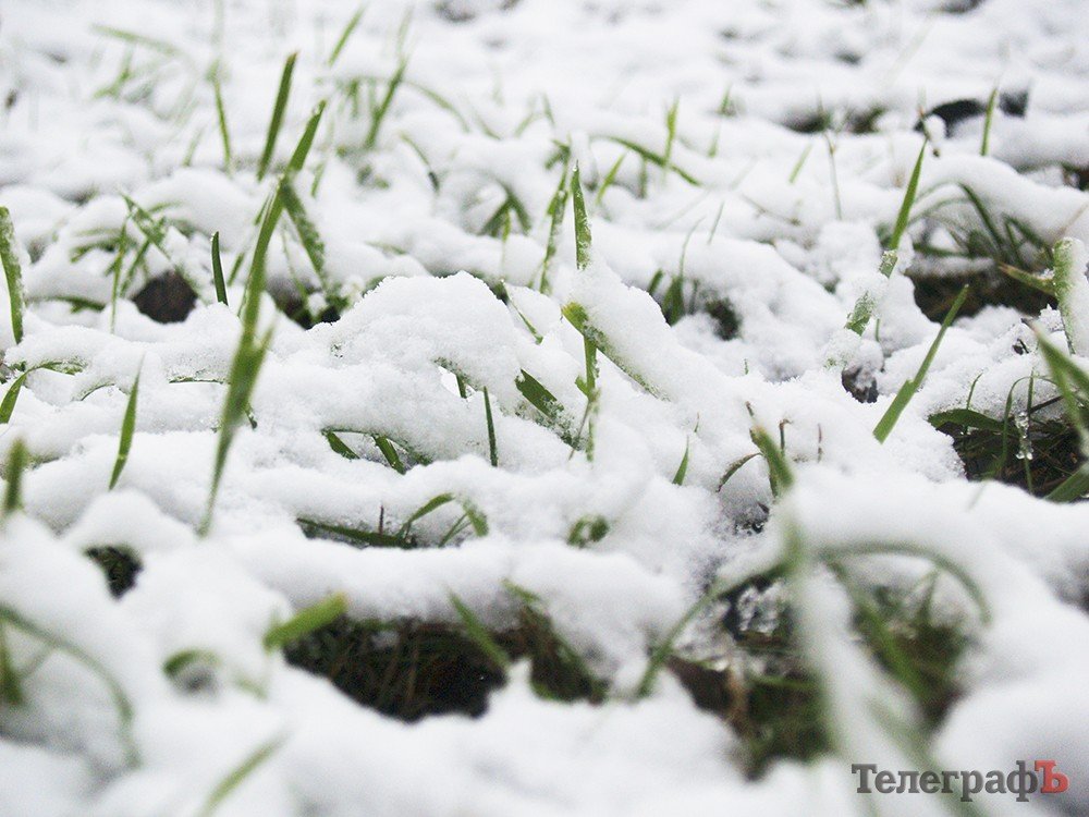 В Кременчуге выпал первый снег В Кременчуге выпал первый снег