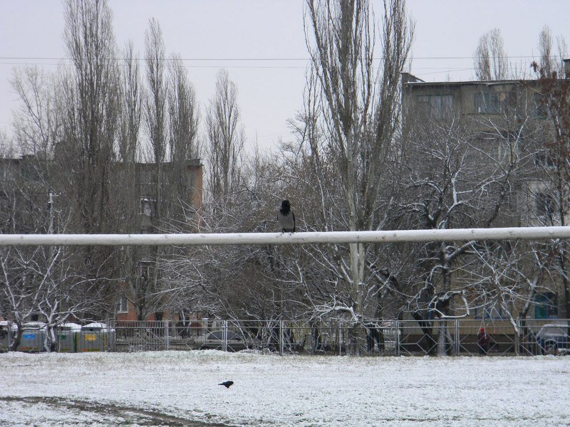 В Кременчуге выпал первый снег В Кременчуге выпал первый снег