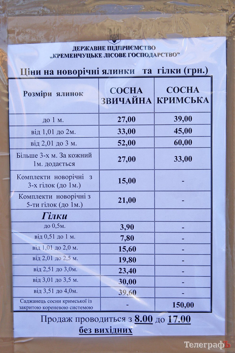 Во сколько кременчужанам обойдется новогодняя елка Во сколько кременчужанам обойдется новогодняя елка
