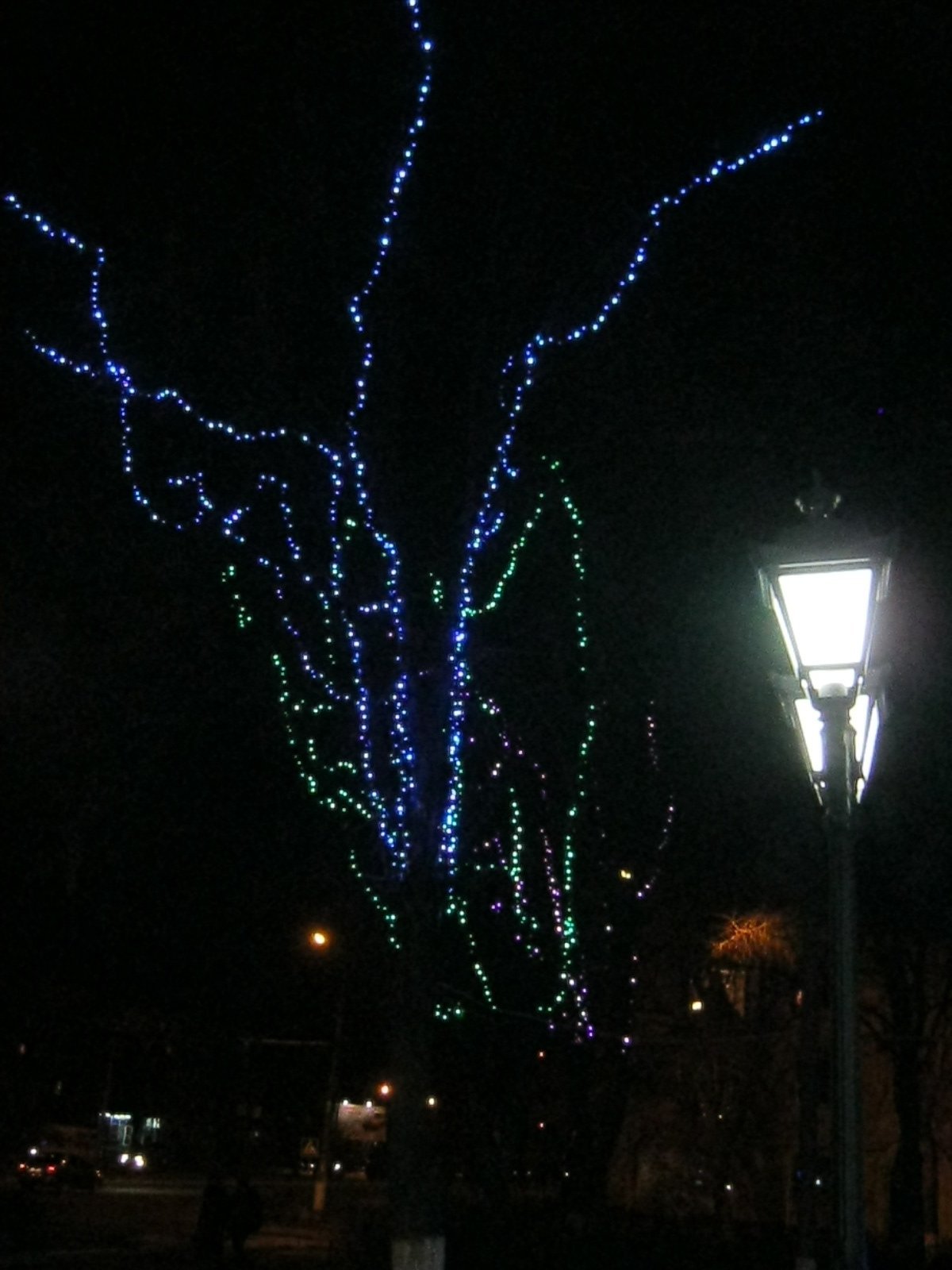 В Кременчуге выбрали лучшую елку среди заведений торговли и сферы услуг В Кременчуге выбрали лучшую елку среди заведений торговли и сферы услуг