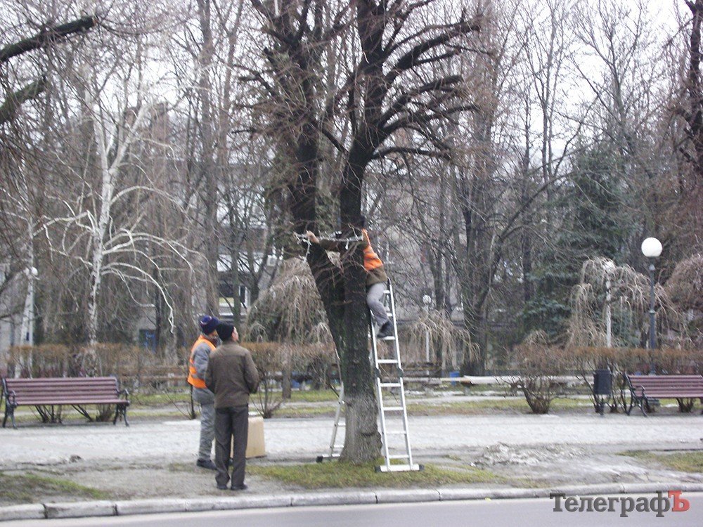В Кременчуге разбирают главную новогоднюю елку В Кременчуге разбирают главную новогоднюю елку