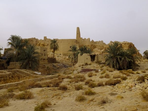 Кременчугский Робинзон Артем — об оазисе Сива Кременчугский Робинзон Артем — об оазисе Сива