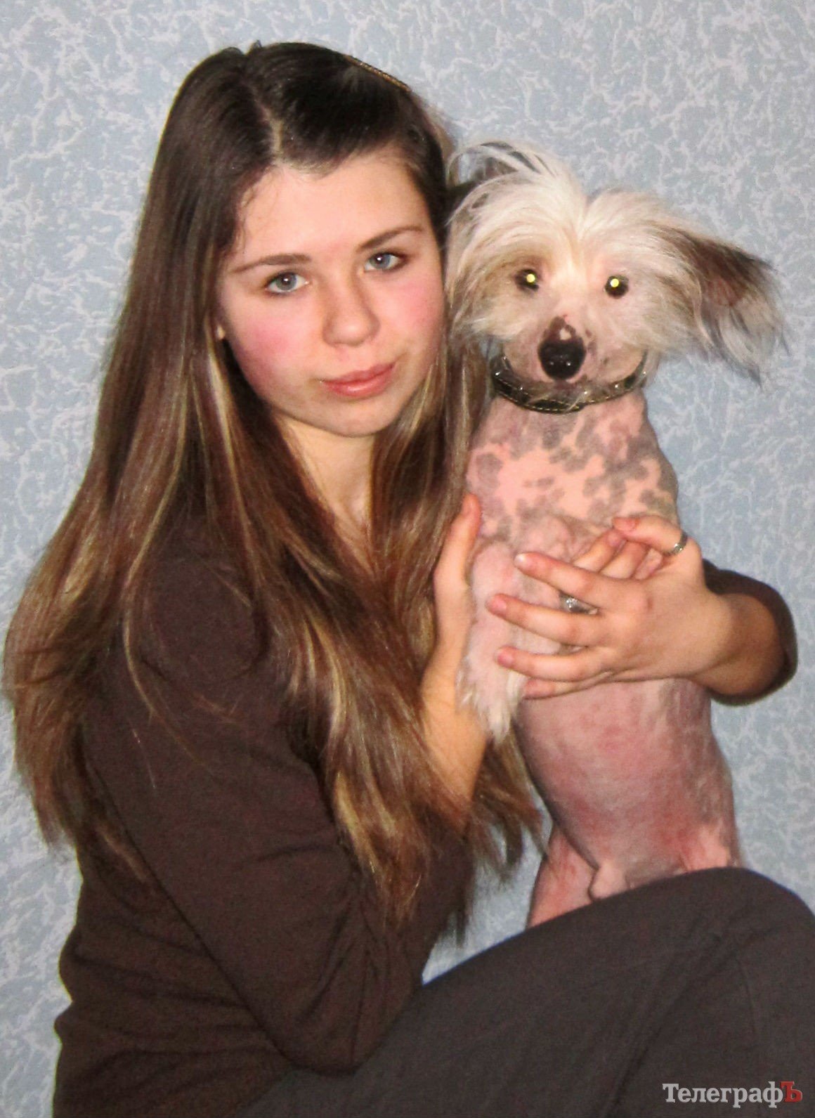 Як «Телеграф» знаходить тваринам господарів Як «Телеграф» знаходить тваринам господарів