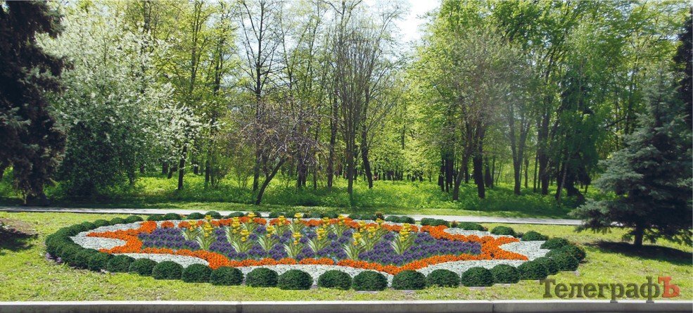 Який вигляд матимуть клумби в Кременчуці Який вигляд матимуть клумби в Кременчуці