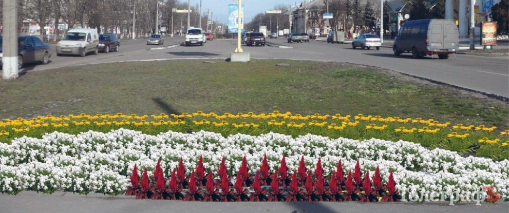 Який вигляд матимуть клумби в Кременчуці Який вигляд матимуть клумби в Кременчуці