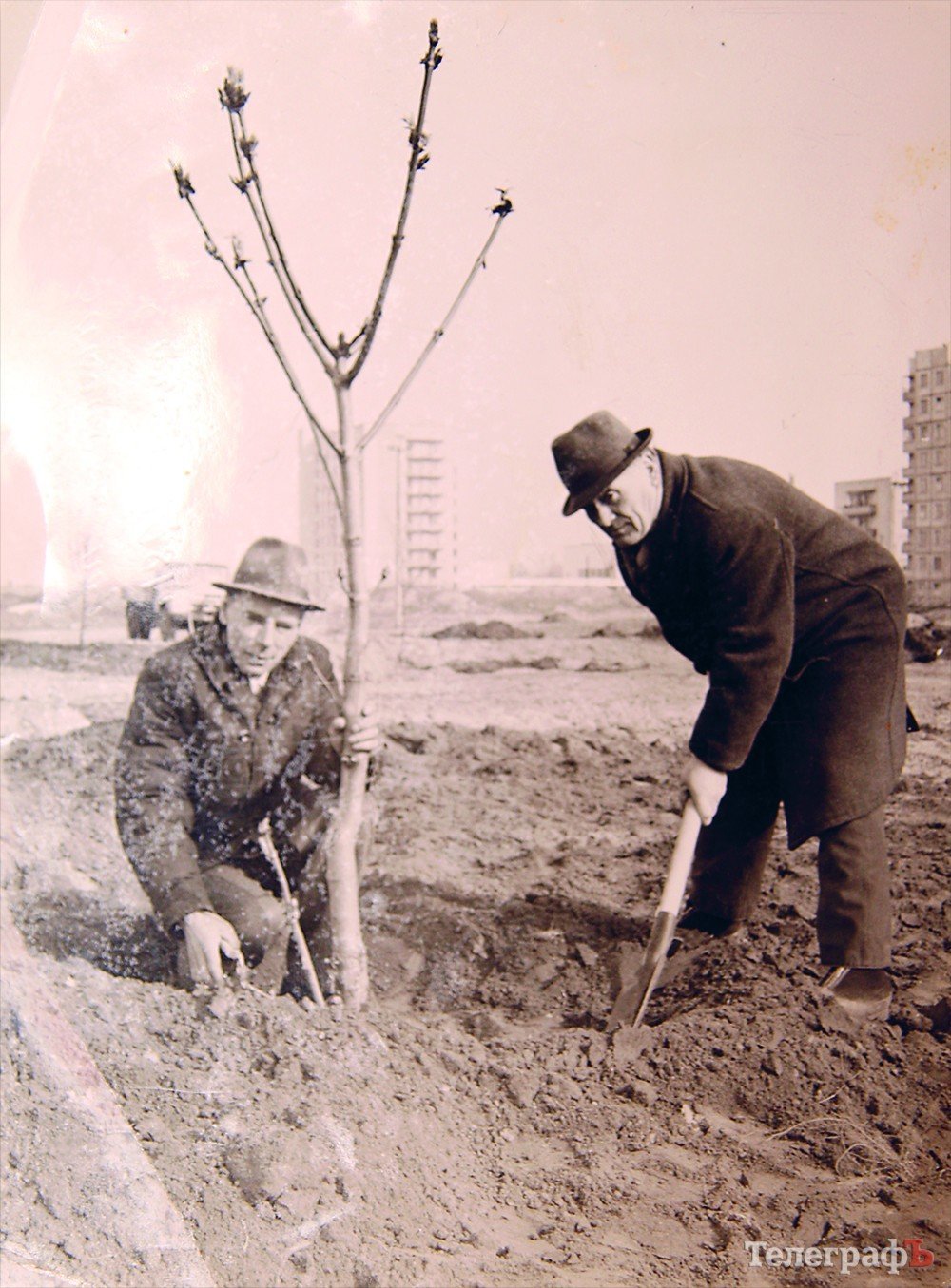 «Усе озеленення міста – справа моїх рук», - ветеран Павло Шестаков про Кременчук «Усе озеленення міста – справа моїх рук», - ветеран Павло Шестаков про Кременчук